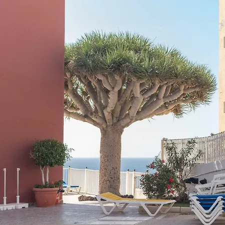 Apartment San Agustin *